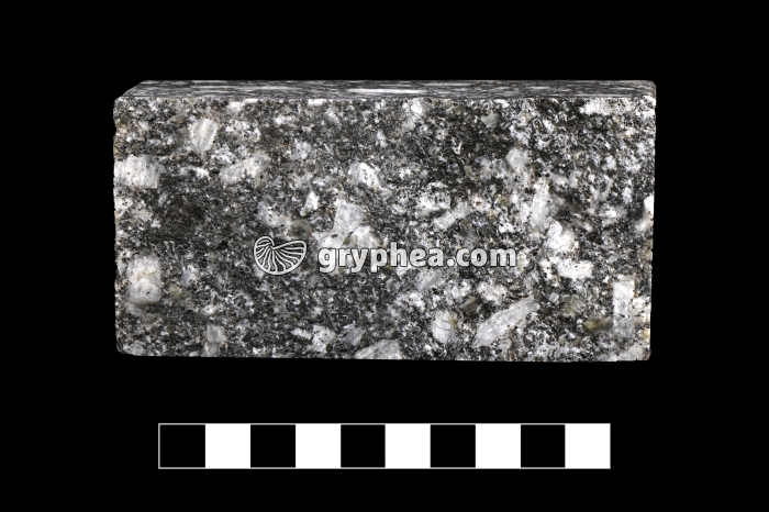 Granite des crêtes - échantillon (Vosges, France) - gryphea.org